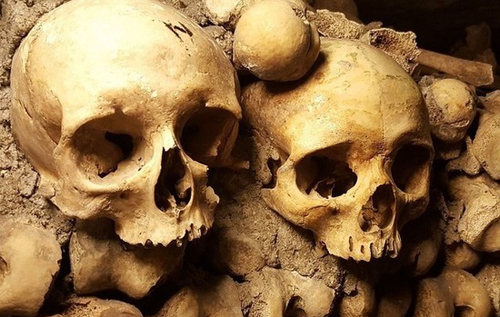 Археологи з'ясували, що в Європі люди палеоліту з'їдали покійників під час похоронних обрядів