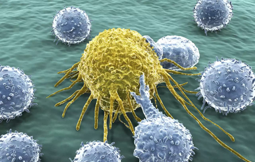 Суперклітини-вбивці допомогли перемогти рак на кінцевій стадії
