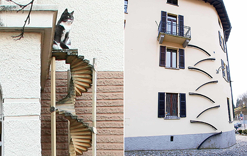 Свободу Барсикам и Муркам! Зачем в Швейцарии на стенах зданий устанавливают маленькие лестницы?. ФОТО