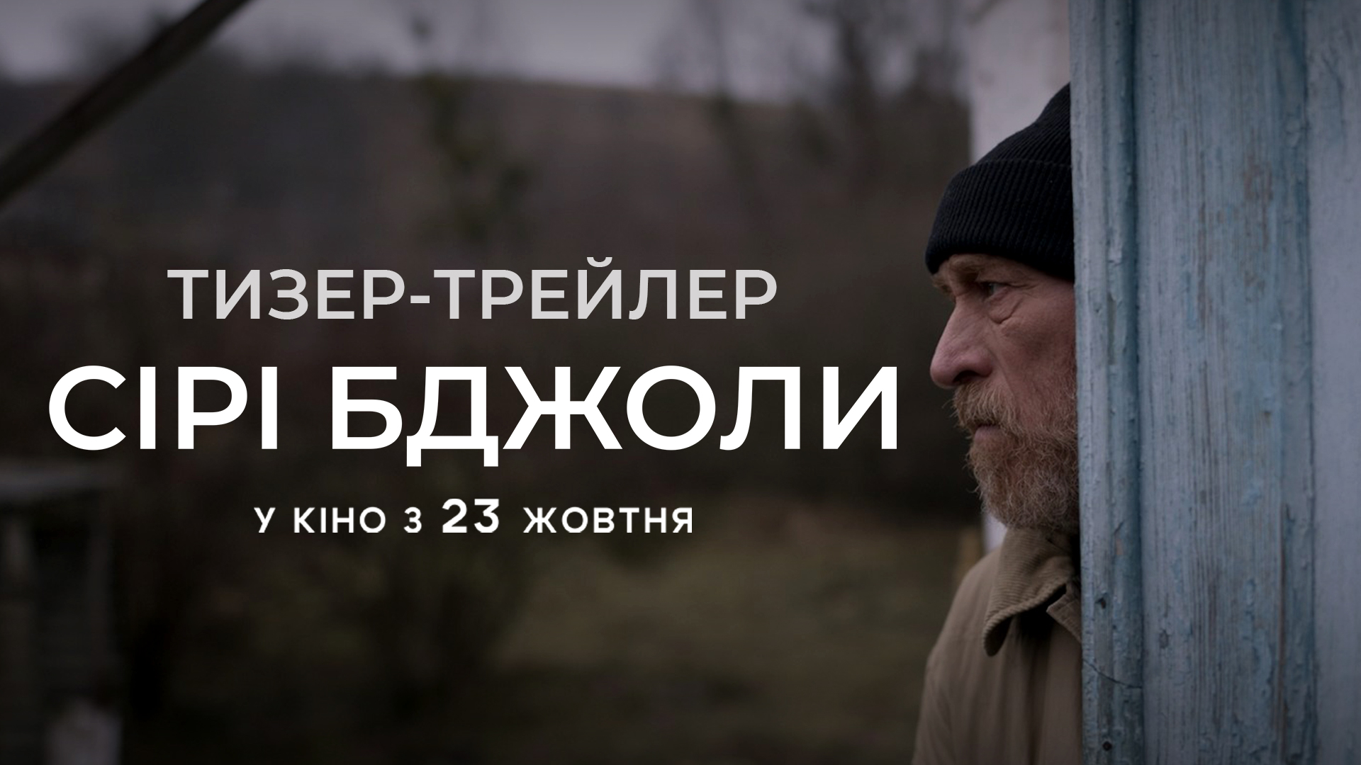 На основі бестселера Андрія Куркова: вийшов тизер-трейлер фільму "Сірі бджоли"
