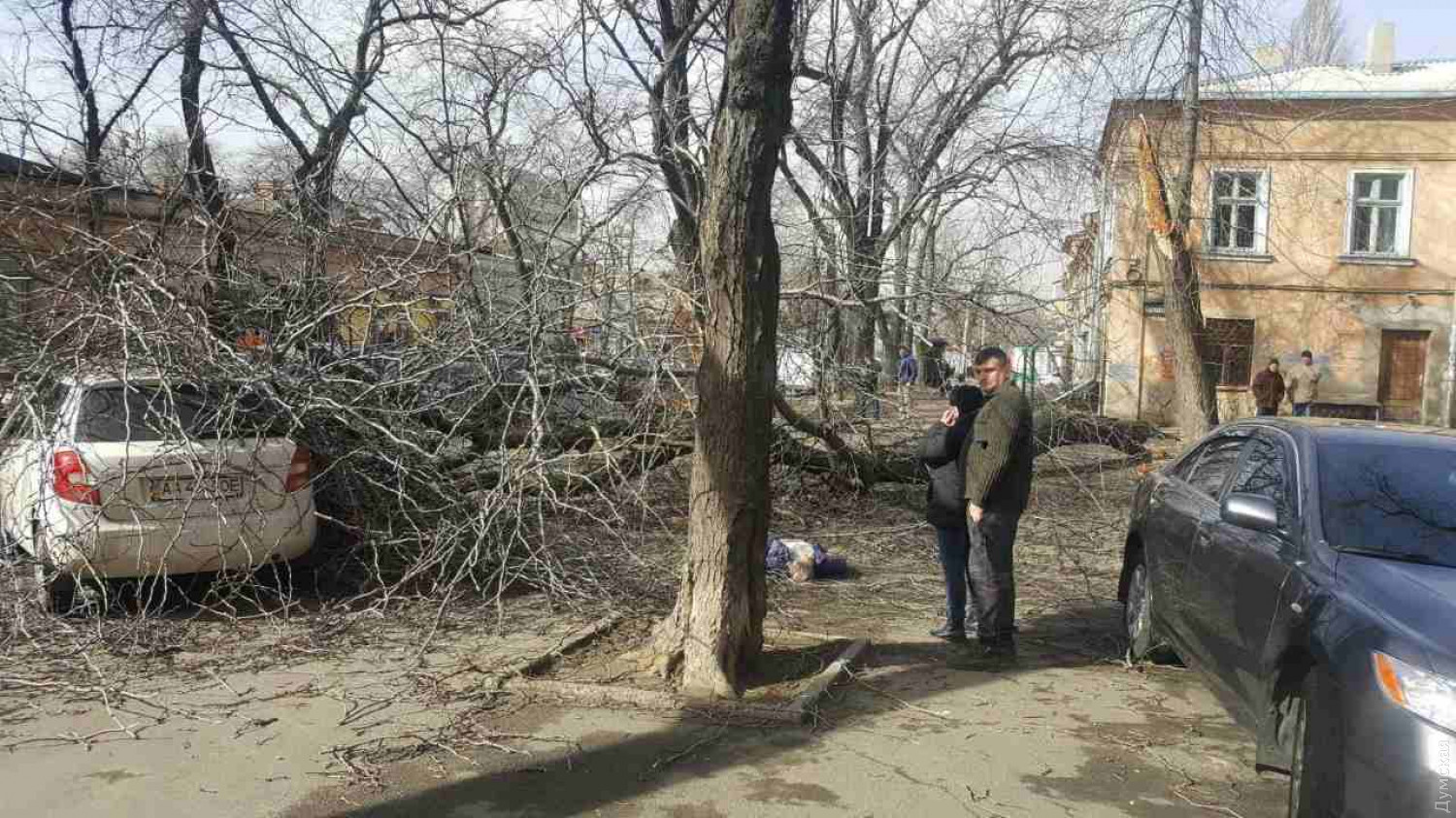 Рухнувшее из-за урагана дерево убило женщину в центре Одессы