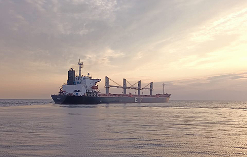 Прорив блокади у Чорному морі: у портах біля Одеси відновився жвавий рух суден