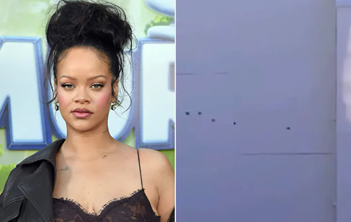 Звинувачують у замаху на вбивство: поліція заарештувала 35-річну жінку, яка обстріляла дім Ріанни. ВІДЕО