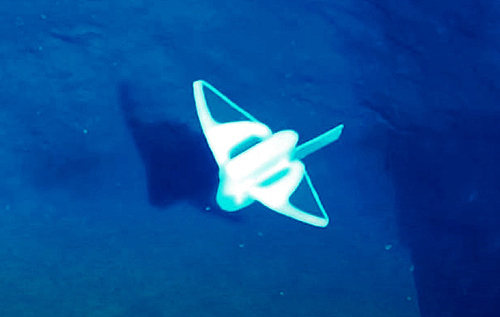 Мягкий подводный робот прошел испытания в глубочайшей в мире Марианской впадине. ВИДЕО