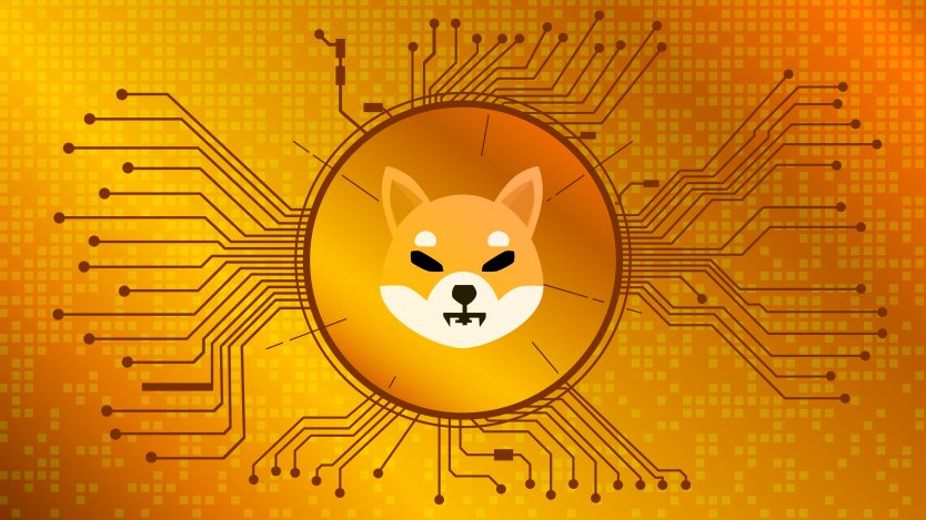 Обійшла біткоїн та Dogecoin. Названо найпопулярнішу криптовалюту у 2021 році