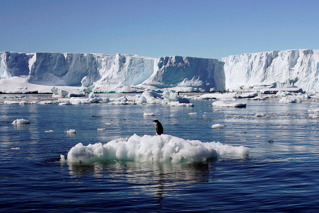 Глобальна повінь. Швидкість танення світових льодовиків збільшилась вдвічі за останні 20 років – дослідження