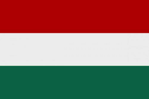 Перед виборами в Угорщині "Тиса" випереджає партію Орбана в усіх категоріях виборців