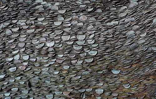 Дерева з драконовою лускою: навіщо в Шотландії впродовж століть забивають монети в дерева