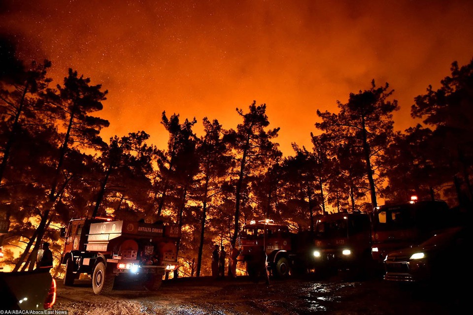 Эвакуированы 5 поселений. В турецкой Антальи вспыхнул масштабный лесной пожар