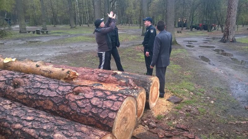 В Пуще-Водице начали вырубку деревьев. ФОТО