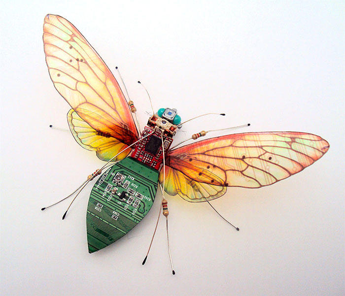 Удивительное преображение старых компьютеров: бабочки и жуки из техномусора. ФОТО