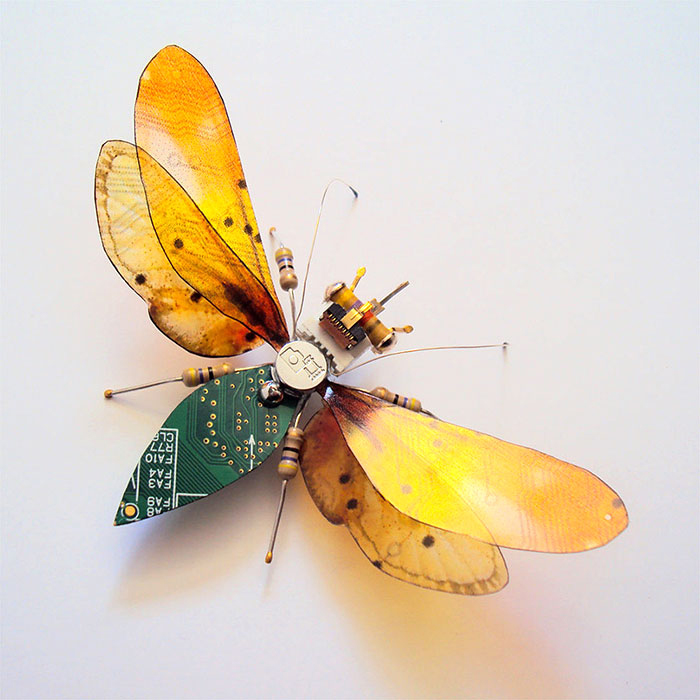 Удивительное преображение старых компьютеров: бабочки и жуки из техномусора. ФОТО